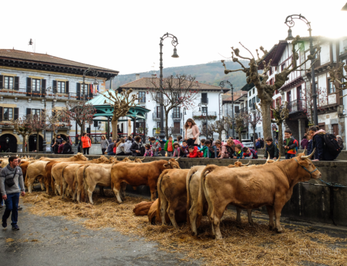 “Bidasoa Elikadura”, la comarca del Bidasoa apuesta por el sector agroalimentario local apoyada desde Cederna Garalur.